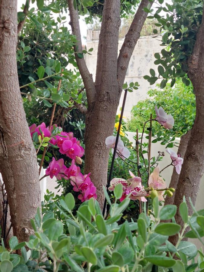 Apartamento Casa d' Avó Zeza Jardim do Mar Exterior foto
